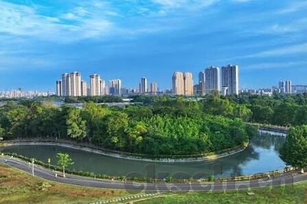 大象传媒下载入口-探索大象传媒下载的多元化平台与内容价值