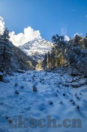 国产麻豆剧传媒下载-国产麻豆剧，数字时代的文化新风景
