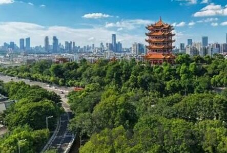 快猫回家视频麻豆-荧幕深处的温暖——快猫回家视频与麻豆的温馨故事